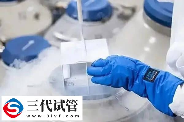試管可不可以先取卵出來凍(圖1)