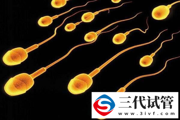 試管雙胞胎嬰兒費用大約多少，三代試管包生男孩價格(圖2)